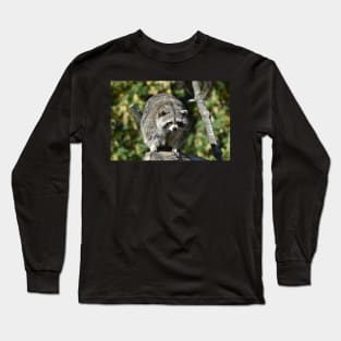 Fat Raccoon Long Sleeve T-Shirt